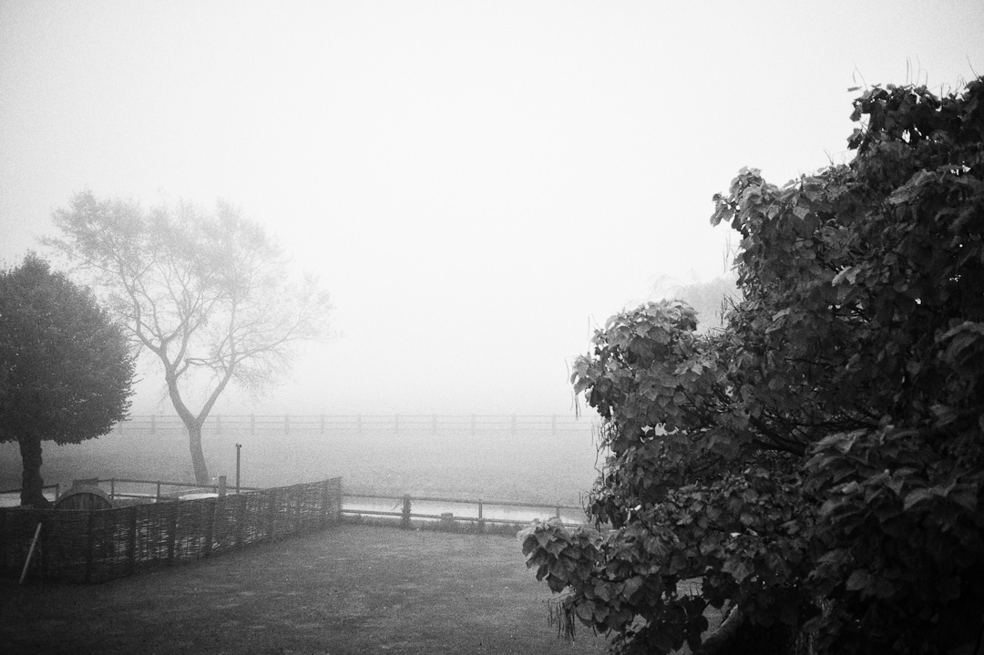foggy_morning_vouilly_france_2016_v3